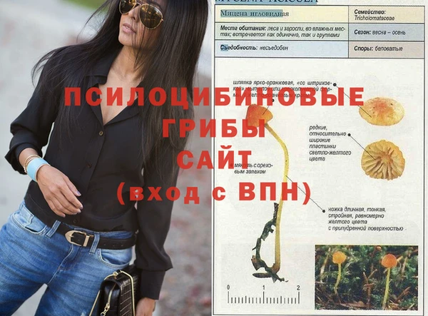 MDMA Premium VHQ Вяземский